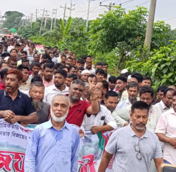 জনগণের সেবক হয়ে কাজ করতে চাই - আল মুজাহিদ মল্লিক