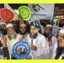 লাঙ্গলবন এলাকায় হাতপাখার প্রার্থী মুফতি মাসুম বিল্লাহর গণসংযোগ